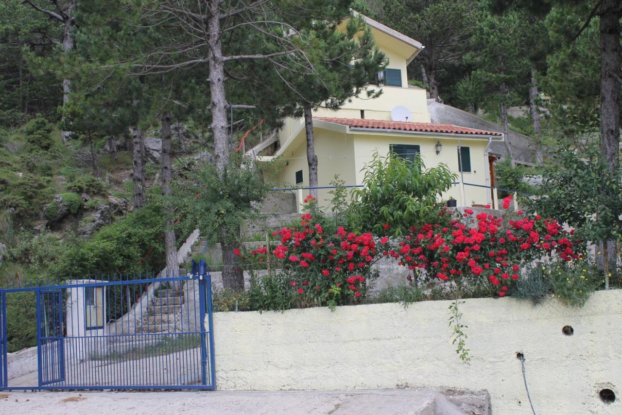 Eagle'S Nest Διαμέρισμα Palase Εξωτερικό φωτογραφία